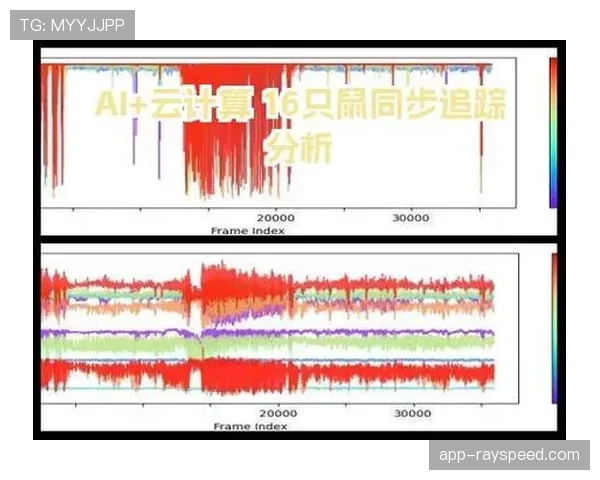智能化阶段运动分析算法迭代提速，显著提升训练反馈效率